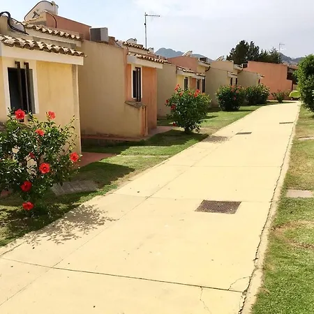 Altura 4*